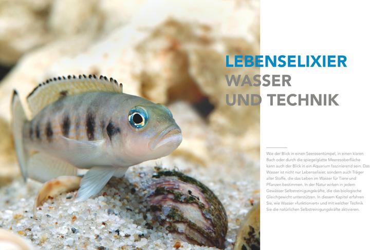 Image du produit Das grosse Praxishandbuch Aquarium (Allemand, Ulrich Schliewen, 2017)
