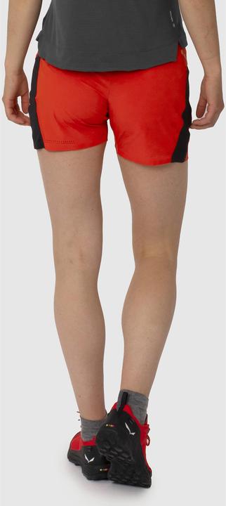 Image du produit Salewa PEDROC PRO DST CARGO SHORTS pour femme (42)