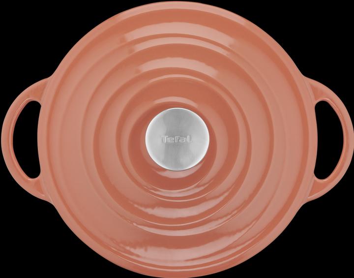 Actual product image Tefal LOV roaster (25 cm, Casserole + Stewpot, Pot, Cast iron)