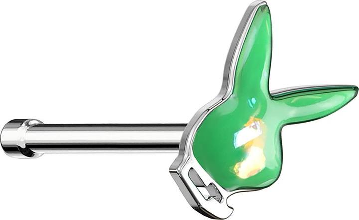 Actual product image Star Piercing Ring silver brushed (without brass, Surgical steel 316L)