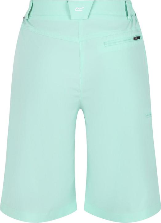 Actual product image Regatta Womens/Ladies Xert Stretch Shorts (34)