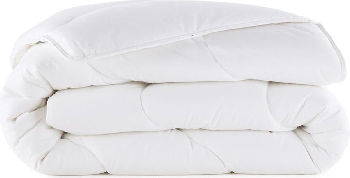La Redoute Interieurs Poliestere Sintetico Lri (300 g, 140 x 200 cm)