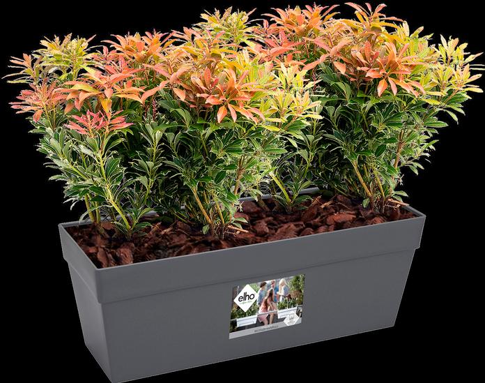 Actual product image Elho Loft Urban (17 cm)