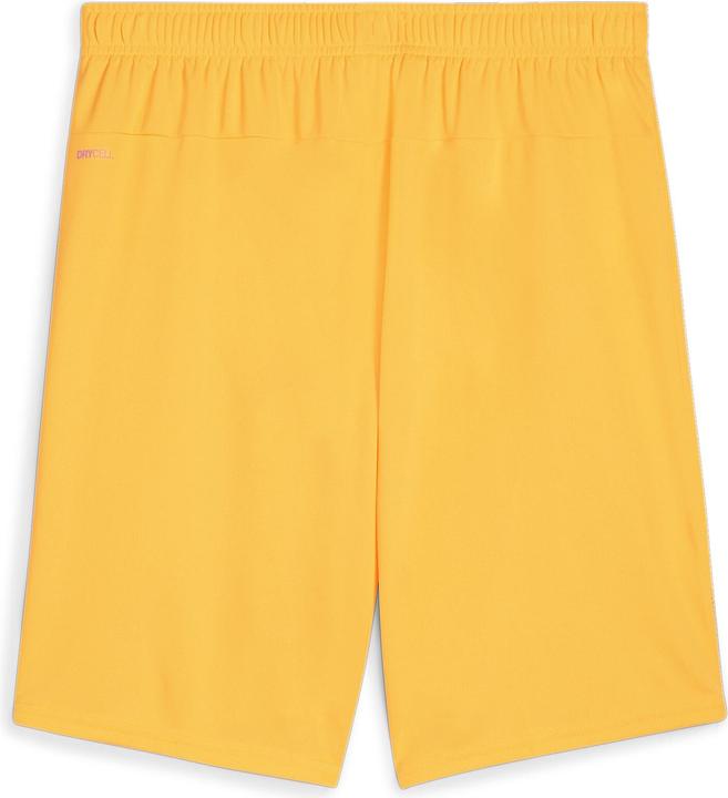 Actual product image Puma teamGOAL shorts (XL)