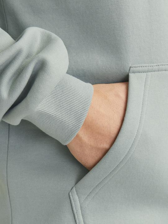 Actual product image Jack & Jones Jjebradley Sweat Hood Noos (XXL)