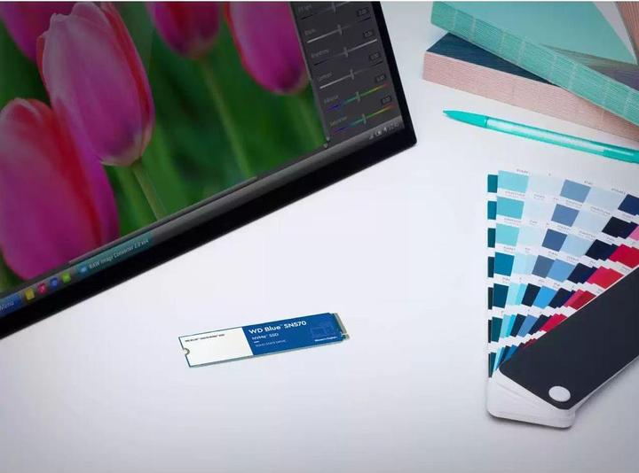 Immagine prodotto SanDisk BLU SN570 NVME SSD 1TB (1000 GB, M.2 2280)