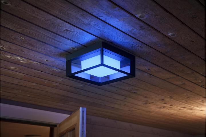 Actual product image Philips Hue Econic Base (1150 lm)