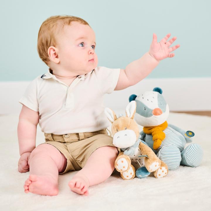 Image du produit Nattou Félix et Léo Petite Léo l’âne
