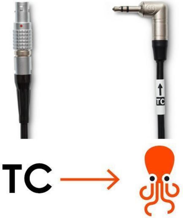Actual product image Tentacle LEMO to cable (0.30 m)