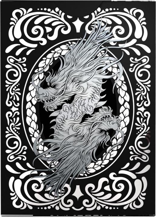 Produktbild AGM Bicycle® Black Dragon (Englisch)