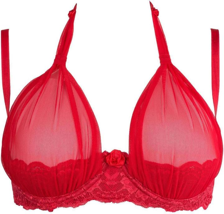 Axami V-8761PS Plus Size bra