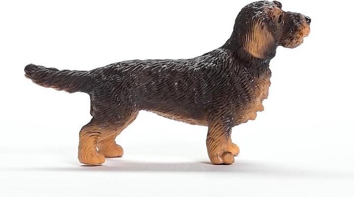 Image du produit Schleich Teckel à poil dur