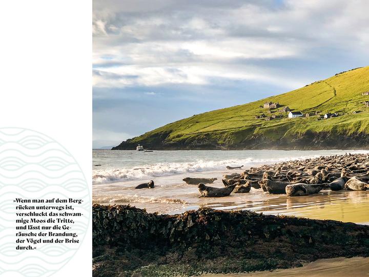 Actual product image Soul Places Irland – Die Seele Irlands spüren (German, Sandra Böttcher, 2024)