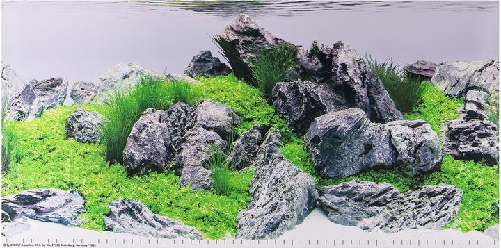 Actual product image Juwel Aquarium Photo back wall 4 size S 60x30cm (other buildings)