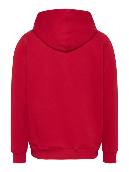 Immagine prodotto Tommy Jeans Tjm Reg Linear Logo Hoodie Ext (L)