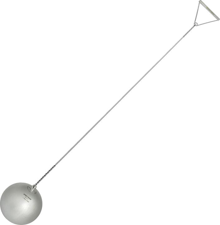 7260 g