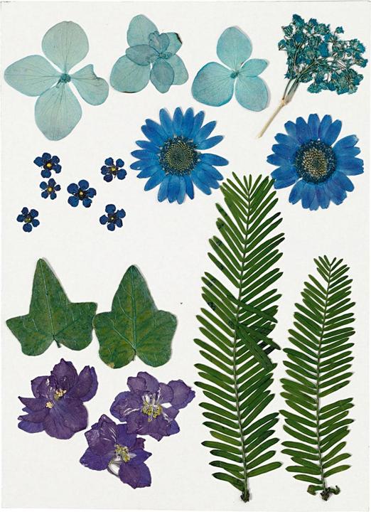 Creativ Company Pressed flowers (2 x 15 x 20 cm)