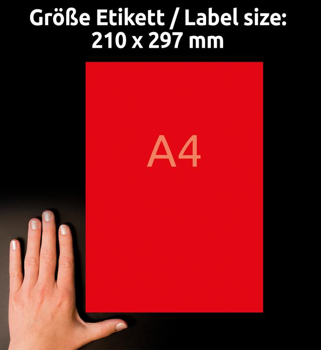 Actual product image Avery Organisation labels