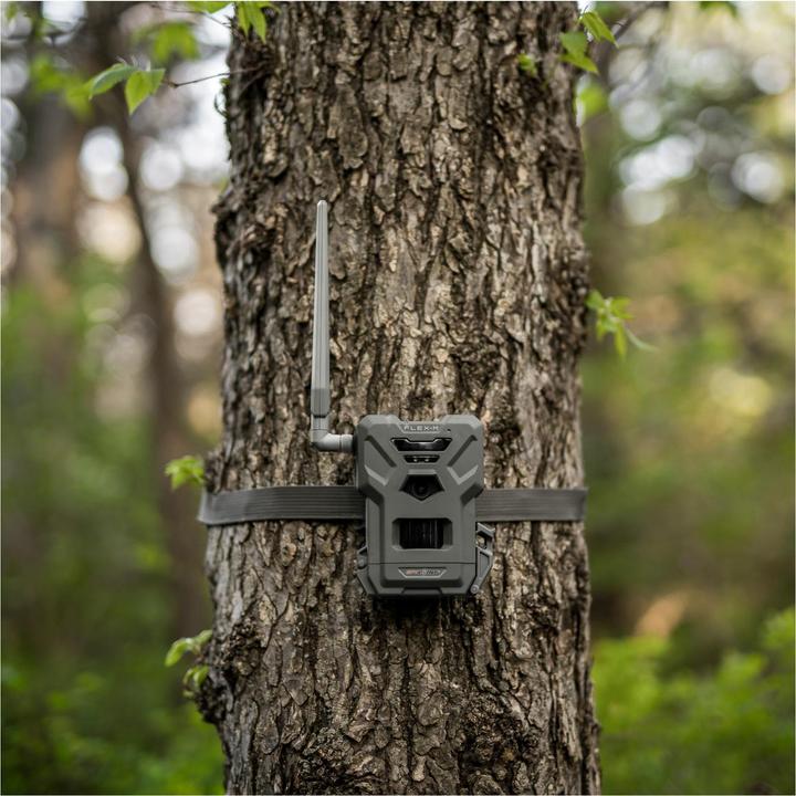 Actual product image Spypoint FLEX-M wildlife camera Twin Pack