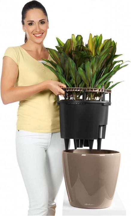 Actual product image Lechuza Classico (28.50 cm)