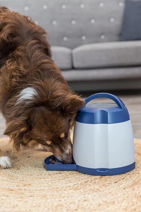 Image du produit Trixie entraîneur de mémoire (Jouet intelligent chien)