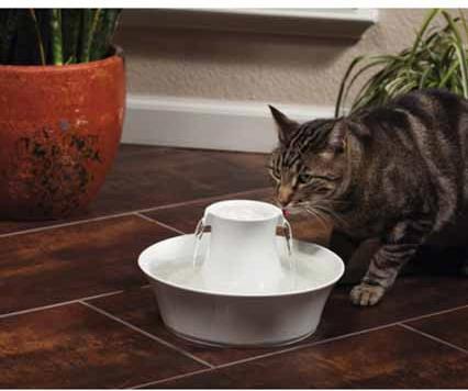 Actual product image Drinkwell PetSafe Avalon (2 l)