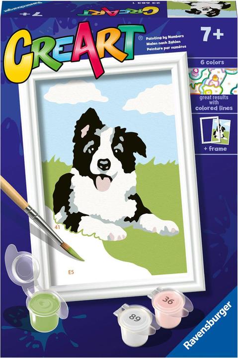 Image du produit Ravensburger Peinture par numéros - Border Collie chiot