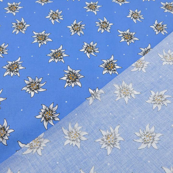 Edelweiss on blue
