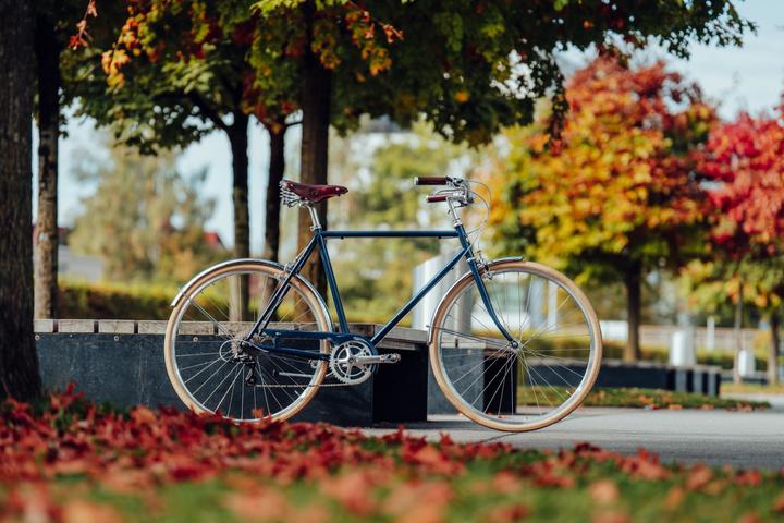 Actual product image Siech Cycles 8Speed Comfort (58 cm)