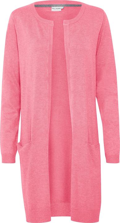 Pink Carnation Melange (1621241)