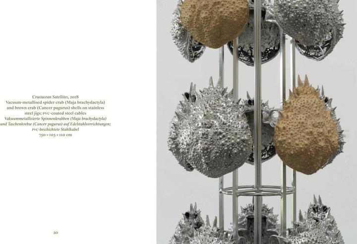 Produktbild Alice Channer (Deutsch, Englisch, Alice Channer, Stefanie Gschwend/ Kunstmuseum/ Kunsthalle Appenzell, 2023)