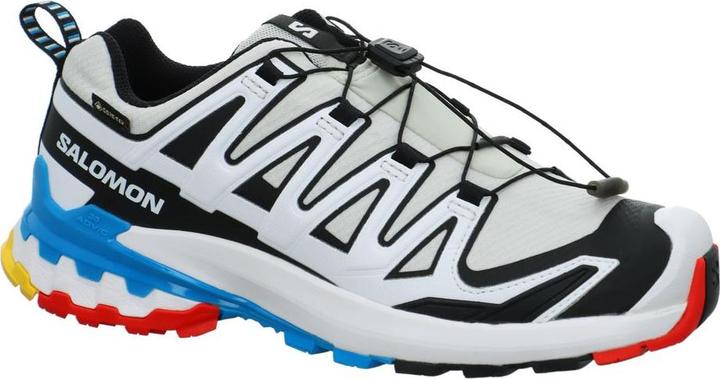 Actual product image Salomon Outdoor shoe XA PRO 3D V9 GTX W Luna (39.5)