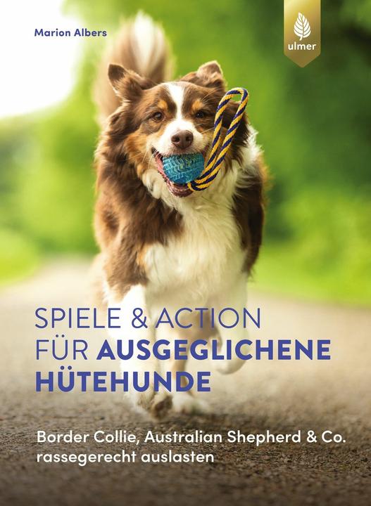 Produktbild Spiele und Action für ausgeglichene Hütehunde (Deutsch, Marion Albers, 2023)