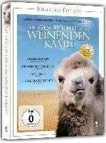 Produktbild Die Geschichte vom weinenden Kamel (DVD, 2003, Mongolisch, Deutsch)