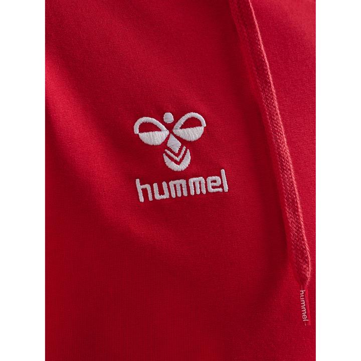 Actual product image hummel HMLGO 2.0 HOODIE (S)