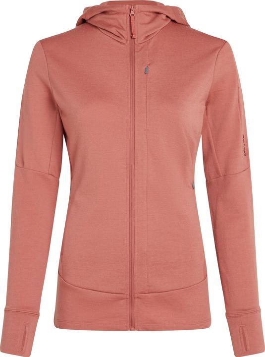 Icebreaker Women's Merino 260 Quantum IV L/S Zip Hoodie (XS)
