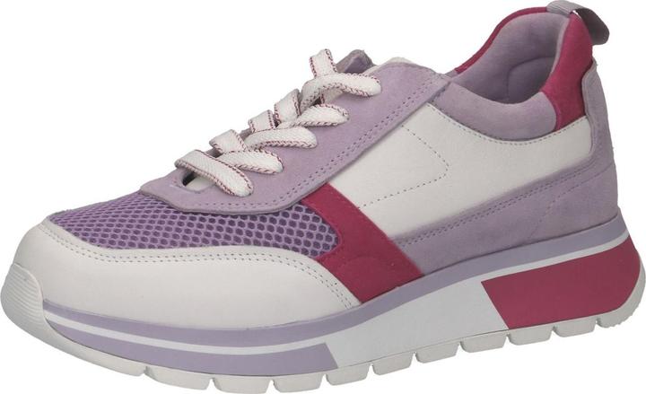 Mauve/rose