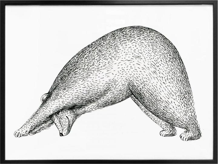 Actual product image Trenddeko Yoga bear 01 (80 x 60 cm)