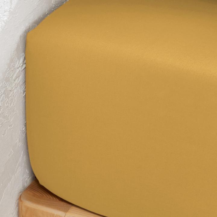 Actual product image La Redoute Interieurs Percale Unie Best (160 x 200 cm)