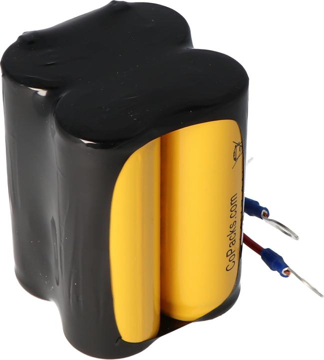 Actual product image AccuCell Battery CEAG W270, CEAG W270.2, W276.3, W286.3