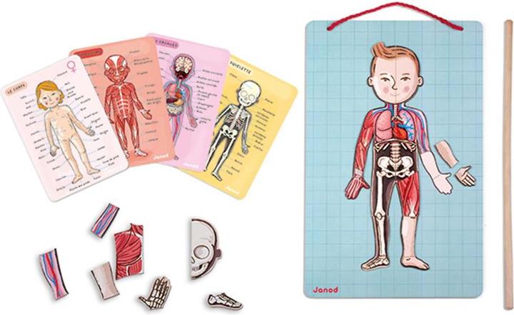 Actual product image Janod Magnetic body (German, English, French, Italian, Spanish)