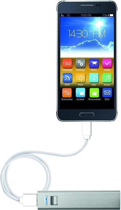 Produktbild ProPlus Powerbank Zusatzakku 2600mAh + USB Ladegerät (2600 mAh)
