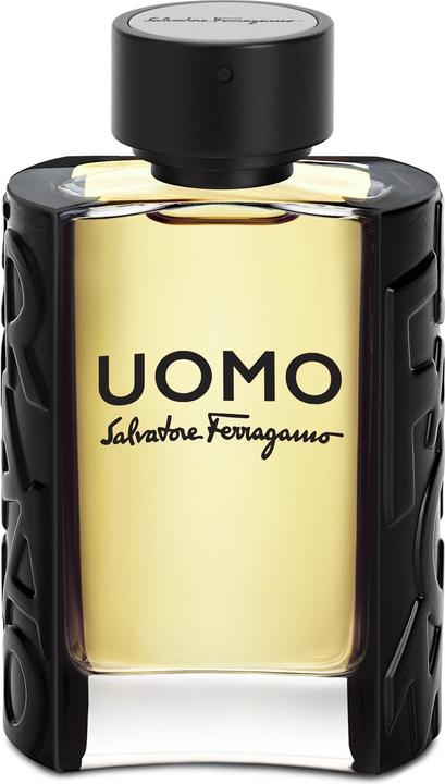 Image du produit Salvatore Ferragamo Uomo (Eau de toilette, 100 ml)