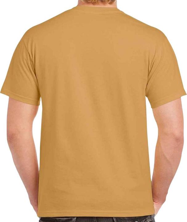 Actual product image Gildan Mens Heavy Cotton T-Shirt (XXL)