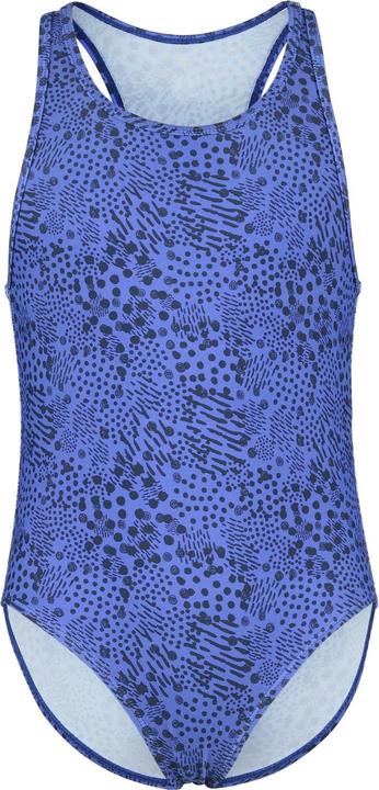 Dark Blue Print, Shining Blue