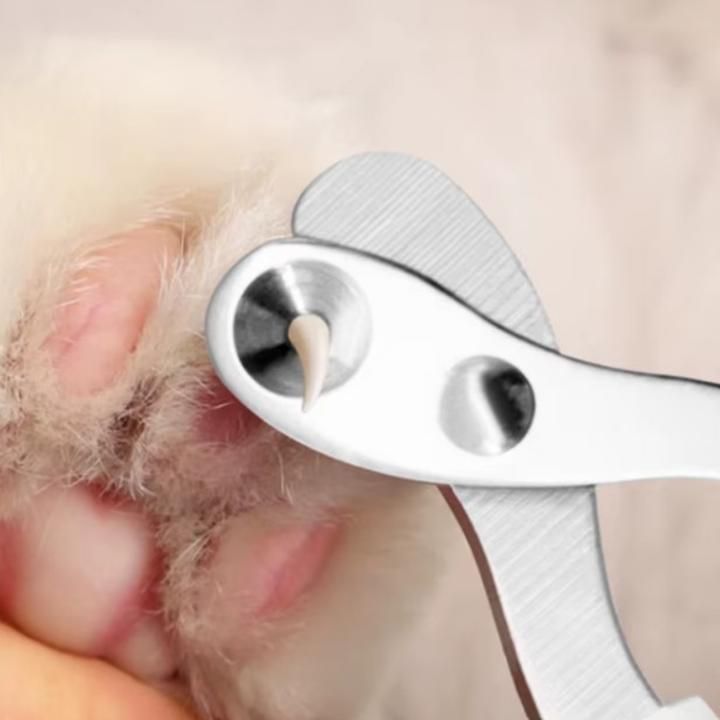 Image du produit Suba Coupe-ongles pour chats, idéal pour les débutants (Chat)