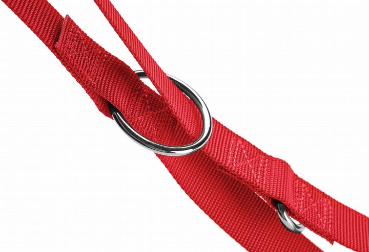 Immagine prodotto Hunter Londra 20/200 - più pavadėlis per un cane (Cane, Generale)