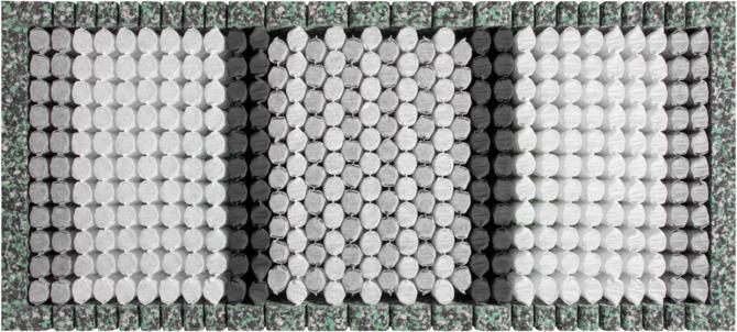 Produktbild SwissSleep by riposa Touchspring A (90 x 200 cm, Schaumstoffkern)