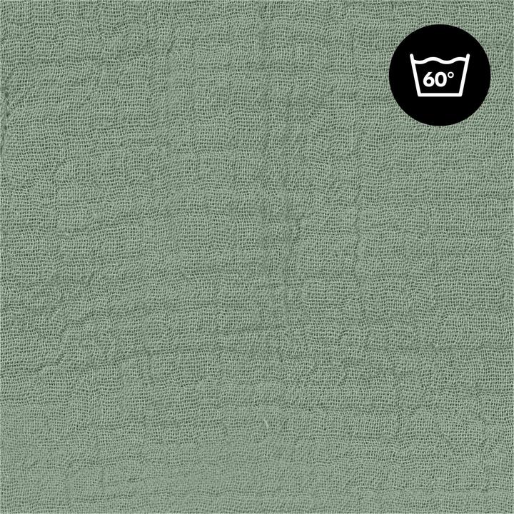 Image du produit Hauck Baby Bouncer Cover Sage