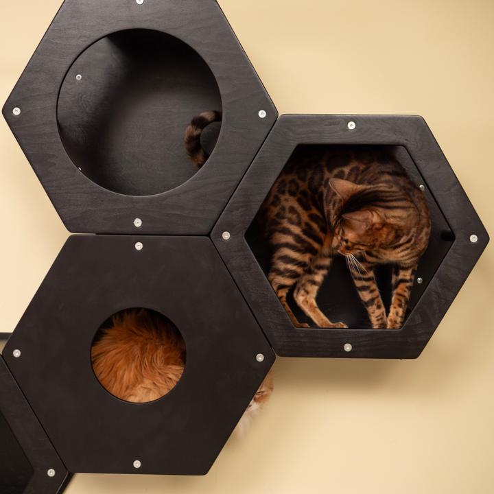 Image du produit Wowhelperco Aire de jeux murale pour chats 8 pièces (Noir)